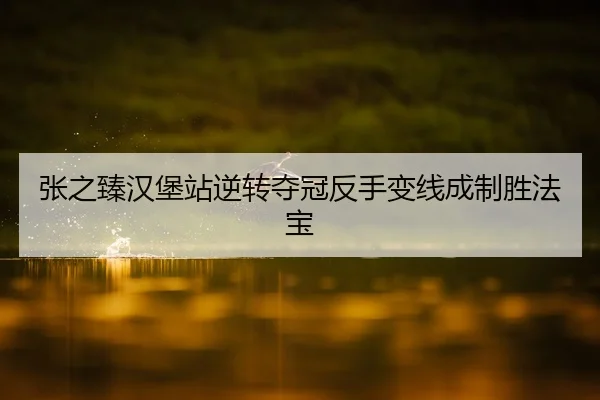 张之臻汉堡站逆转夺冠反手变线成制胜法宝